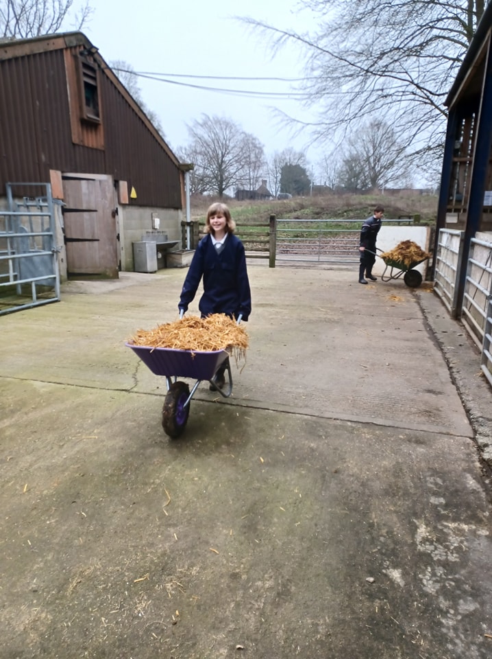A female student from Leigh Academy Snowfields is shown pushing a wheelbarrow full of hay across a path outside a farm barn near the academy.